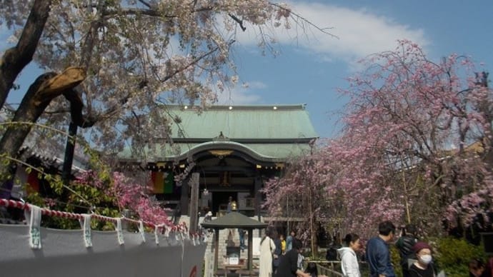 菊桃のお寺
