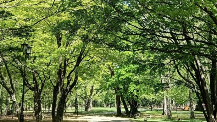 今日もリスたちは元気です！～新緑の円山公園＆北海道神宮散策～