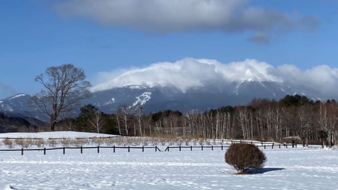 今日はいい天気ですが雪は舞っています