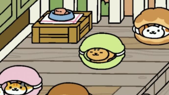 コロナ閉鎖があけてのお店の様子は