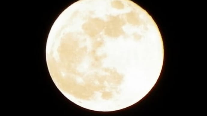 今夜は《スーパーブルームーン》 浄化の夜☆