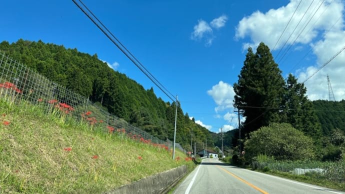 初秋の大人ドライブ