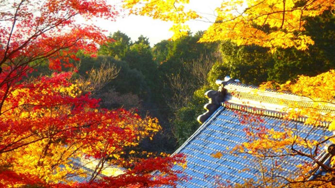 ちょっと首を傾げたくなる出来事!