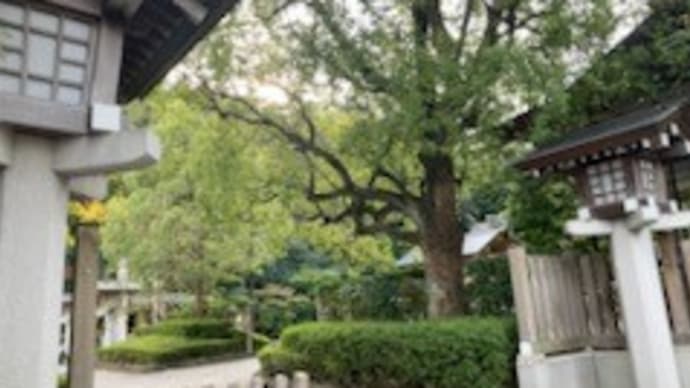 神明社 横浜市保土ヶ谷区