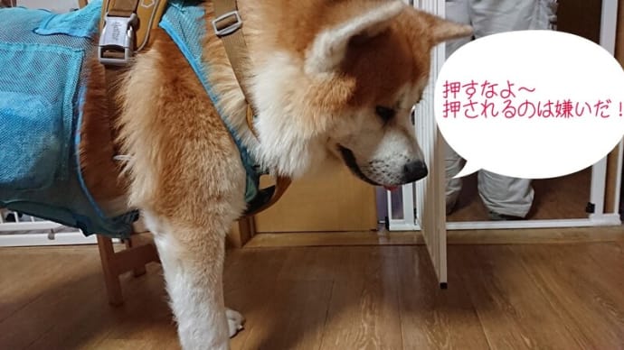押すなよ～😠