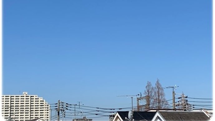 雪の開花宣言