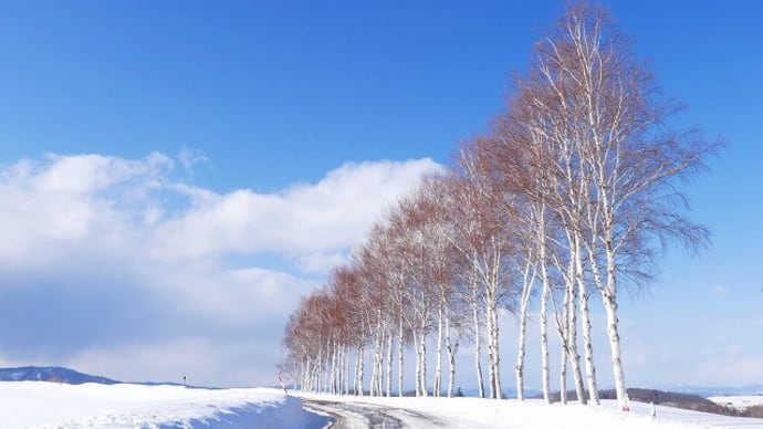 白銀の大地、北海道撮影ツアー 美瑛&富良野