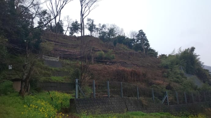 名城紀行 12 石脇城