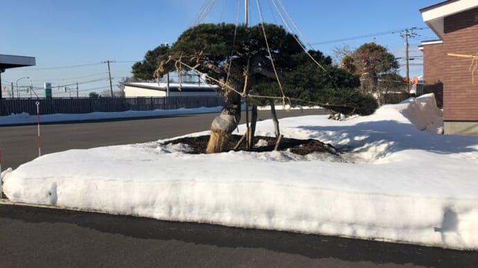 日毎に薄くなる雪層