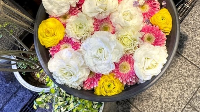 心清める花手水。 冬の花たち、ちゃんと枯れてゆくこと…