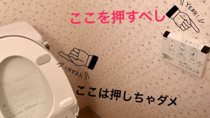 習慣って凄いな〜 と思ったのだった❗️