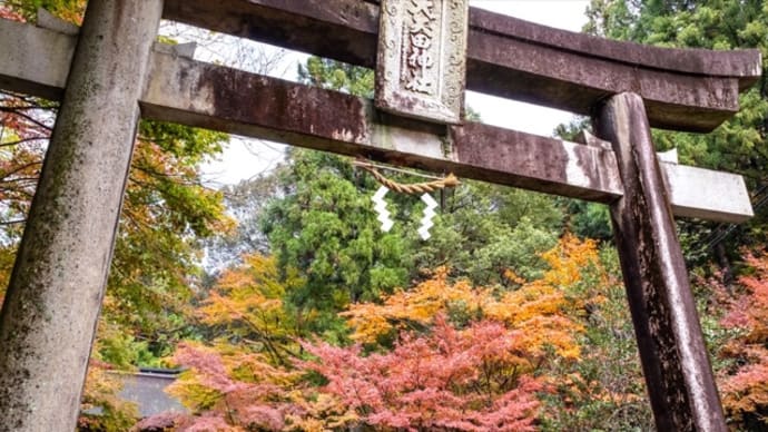 朝から紅葉見物に・・・