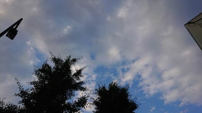 梅雨の中休み