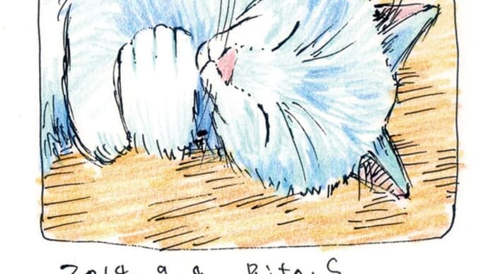 2014年09月04日習作模写等アナログ猫。さいはてりと。
