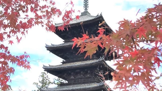 仁和寺で小さい秋みつけた