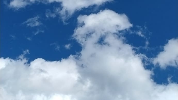 晴れの土曜日