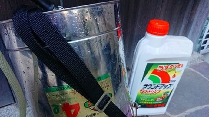 除草剤をまきました。自宅の庭に・・・