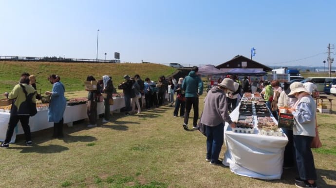 多肉植物の販売会・ひだかさんげin高岡ビタミン館