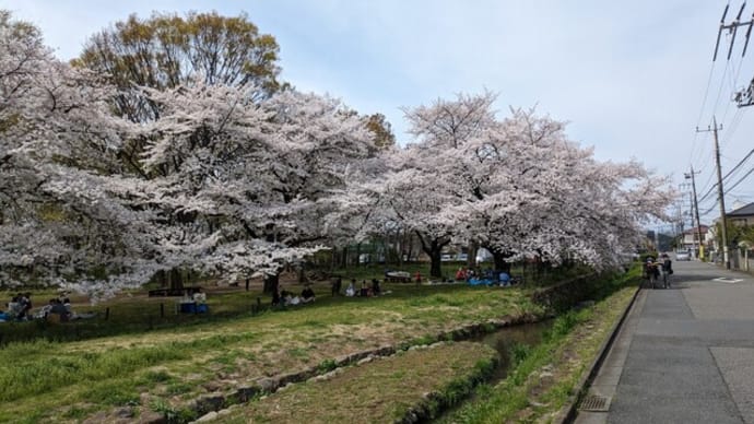 幸福の原理