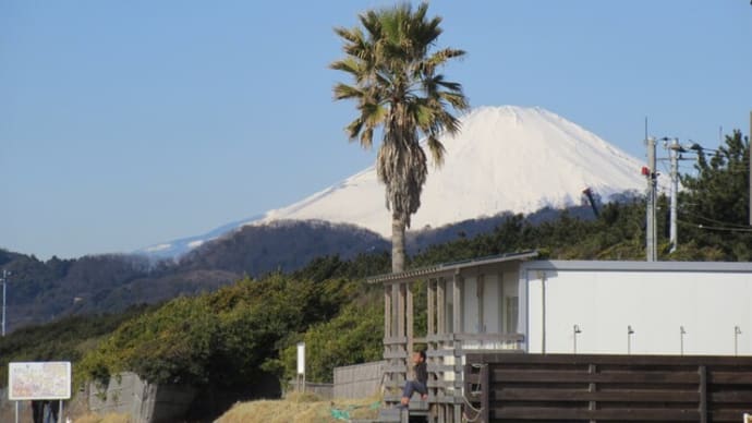 【実施報告】２月２３日(水)　冬の終わりの湘南海岸