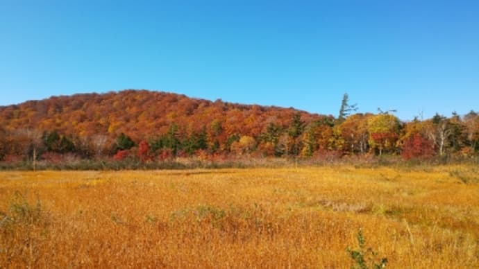 東北紅葉🍁③10月20日