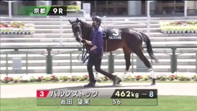 【見せ場あり】フォルステライト 目処を立てる内容