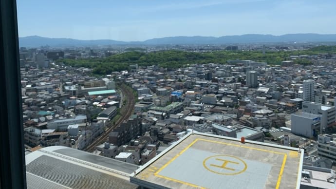 初日！的な