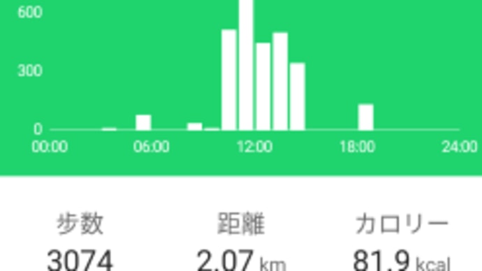 新しい登山靴を買いました