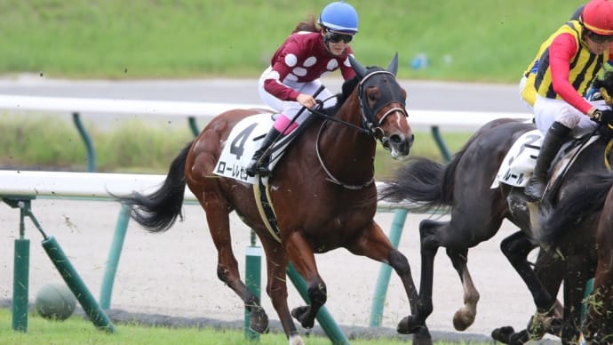 9月29日の競馬、負け