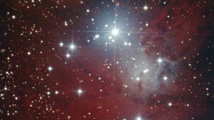 メリー 『クリスマスツリー星団』で 60D vs 6D