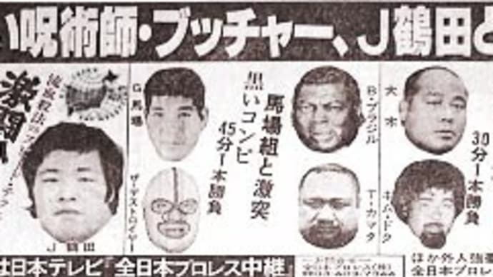 第25戦~第30戦('78ジャイアントS)