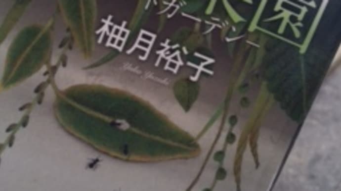 被害者が犯罪者になるとき