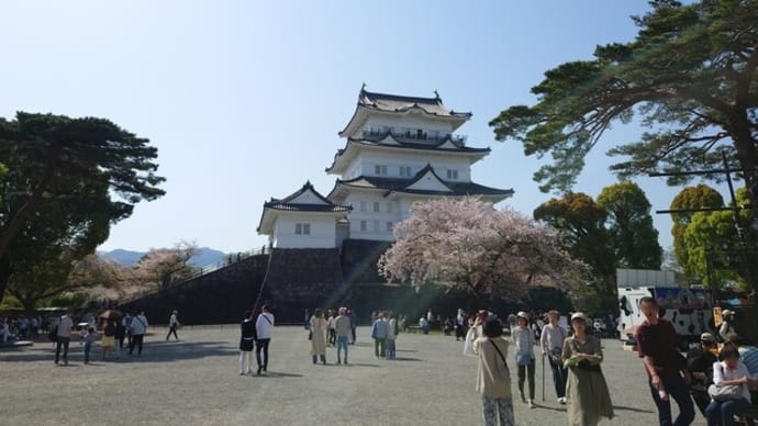 小田原城