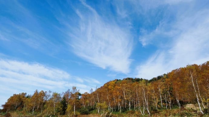 志賀高原　平床の秋景.....空を見上げて