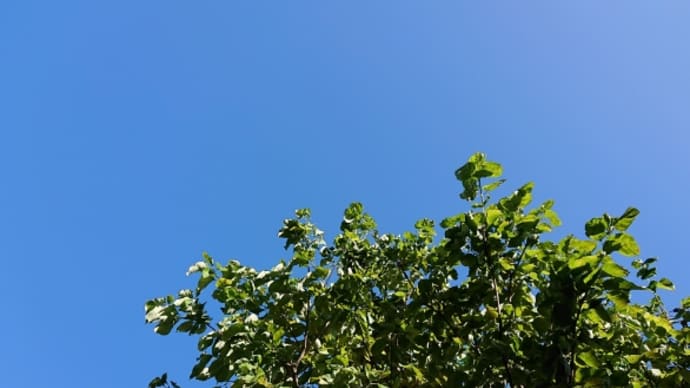 あまりの高騰に気合いを