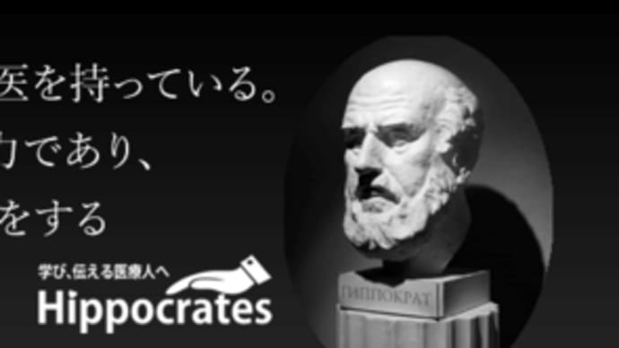 日本の医療制度について講演【吉野敏明】