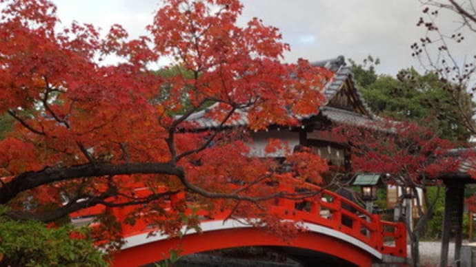 2014年・神泉苑の紅葉　＠　京都妖怪探訪（３８８）