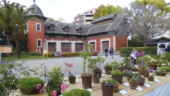 相楽園で春の山野草展・・・2