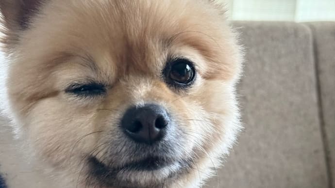 表情^_^