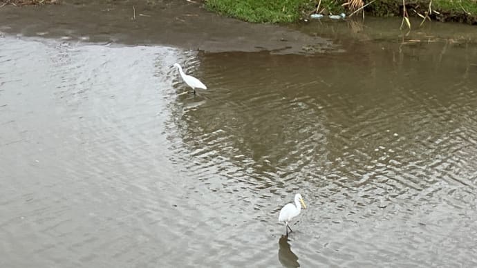 今そこにある不安な気持ち？！