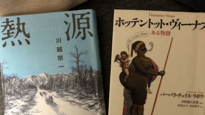えっ⁈ 直木賞!! と、ブローチふたつ…だけ。。