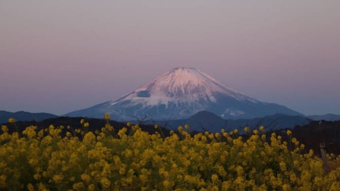 二宮「吾妻山公園」からの絶景日の出🌅