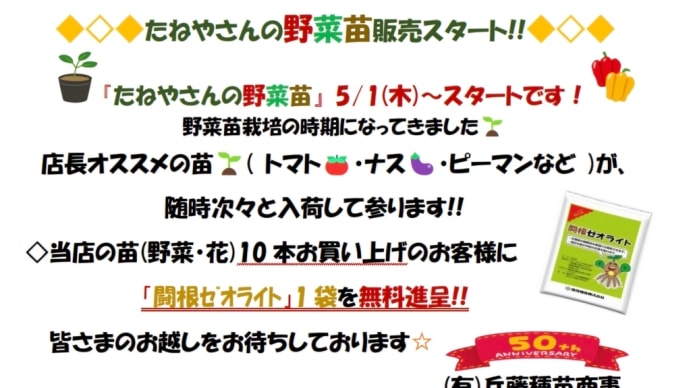 たねやさんの『野菜苗』5月~スタート致しました⤴️