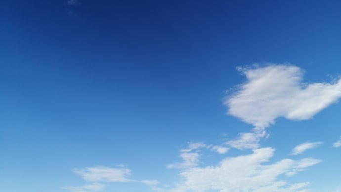 久しぶりの青空と期間限定の塩ひよこ