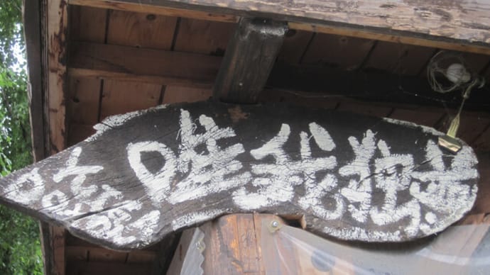 唯我独尊
