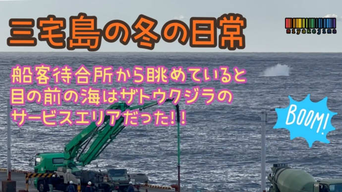 船客待合所から見た冬の島の日常