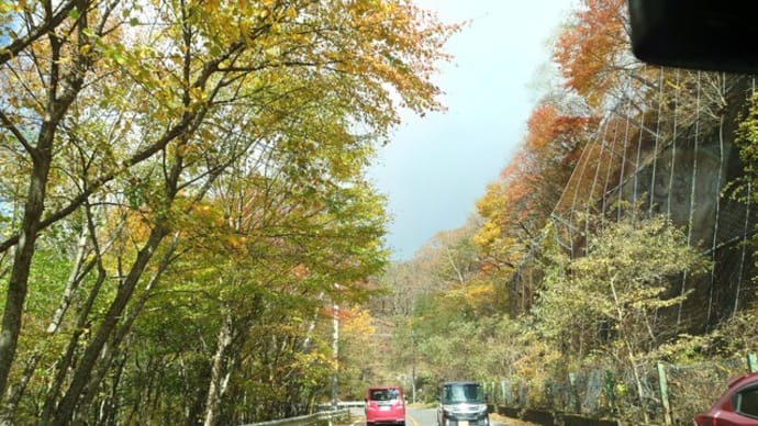 今日はお店はお休み 赤城山 覚満淵へ