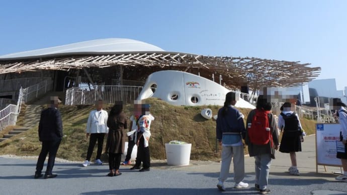 いのちの遊び場クラゲ館