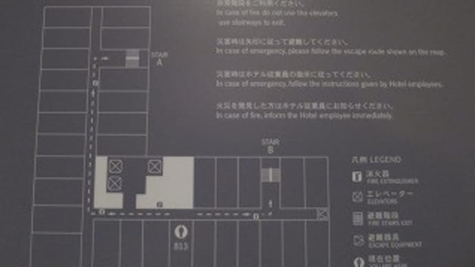 2019ANA特典航空券旅行記(香港) その1