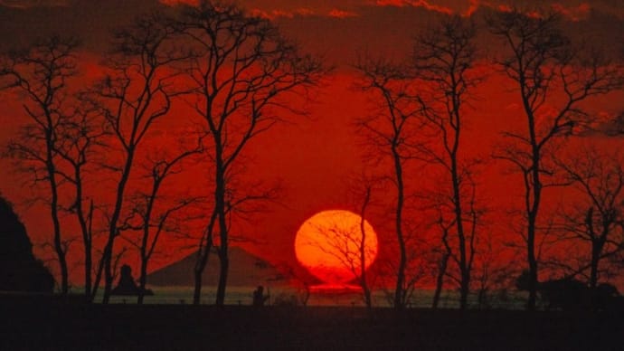 木立の中へだるま夕日